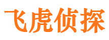 越西市侦探调查公司